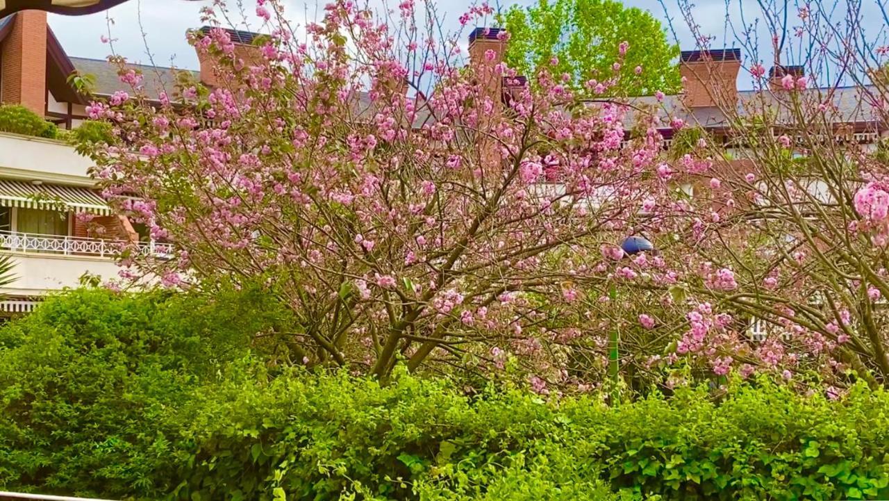 Apartamento Con Jardin Getxo Extérieur photo